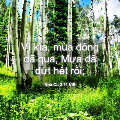 Picture 05 - Nhã Ca 2:11 VIE - Vì kìa, mùa đông đã qua, Mưa đã dứt - Bible Verse Picture