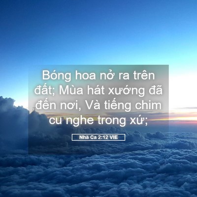 Picture 05 - Nhã Ca 2:12 VIE - Bóng hoa nở ra trên đất; Mùa hát - Bible Verse Picture