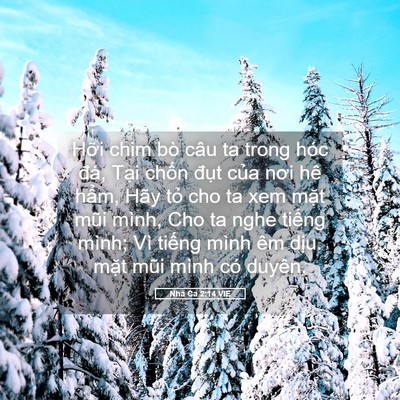 Picture 05 - Nhã Ca 2:14 VIE - Hỡi chim bò câu ta trong hóc đá, Tại - Bible Verse Picture