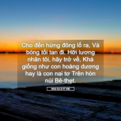 Picture 05 - Nhã Ca 2:17 VIE - Cho đến hừng đông lố ra, Và bóng tối - Bible Verse Picture