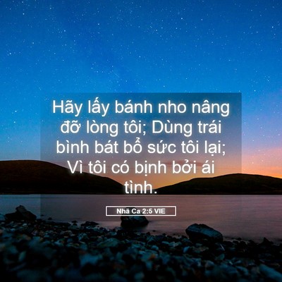 Picture 05 - Nhã Ca 2:5 VIE - Hãy lấy bánh nho nâng đỡ lòng tôi; - Bible Verse Picture