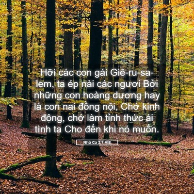 Picture 05 - Nhã Ca 2:7 VIE - Hỡi các con gái Giê-ru-sa-lem, ta ép nài - Bible Verse Picture