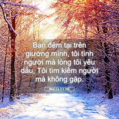 Picture 05 - Nhã Ca 3:1 VIE - Ban đêm tại trên giường mình, tôi tình - Bible Verse Picture
