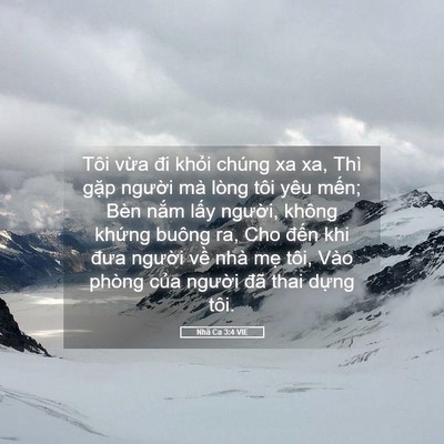 Picture 05 - Nhã Ca 3:4 VIE - Tôi vừa đi khỏi chúng xa xa, Thì gặp - Bible Verse Picture