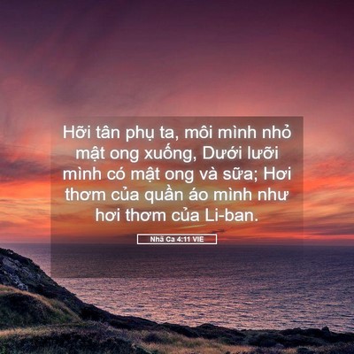 Picture 05 - Nhã Ca 4:11 VIE - Hỡi tân phụ ta, môi mình nhỏ mật ong - Bible Verse Picture