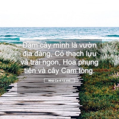 Picture 05 - Nhã Ca 4:13 VIE - Đám cây mình là vườn địa đàng, Có - Bible Verse Picture