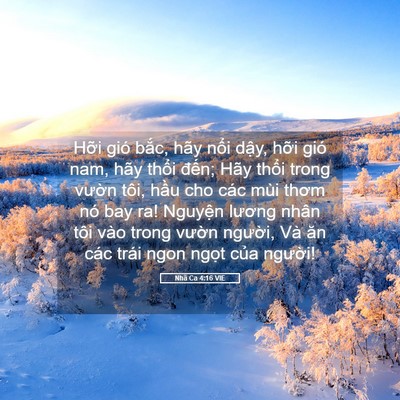 Picture 05 - Nhã Ca 4:16 VIE - Hỡi gió bắc, hãy nổi dậy, hỡi gió - Bible Verse Picture