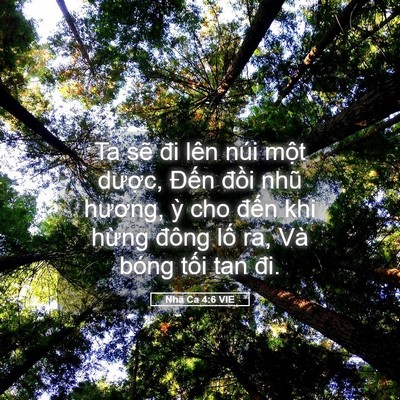 Picture 05 - Nhã Ca 4:6 VIE - Ta sẽ đi lên núi một dược, Đến - Bible Verse Picture
