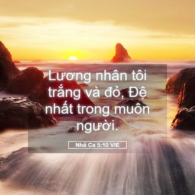Picture 05 - Nhã Ca 5:10 VIE - Lương nhân tôi trắng và đỏ, Đệ - Bible Verse Picture