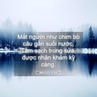 Picture 05 - Nhã Ca 5:12 VIE - Mắt người như chim bò câu gần suối - Bible Verse Picture