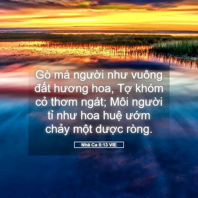 Picture 05 - Nhã Ca 5:13 VIE - Gò má người như vuông đất hương hoa, - Bible Verse Picture