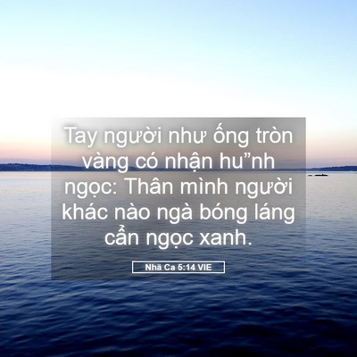 Picture 05 - Nhã Ca 5:14 VIE - Tay người như ống tròn vàng có nhận - Bible Verse Picture