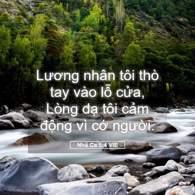 Picture 05 - Nhã Ca 5:4 VIE - Lương nhân tôi thò tay vào lỗ cửa, - Bible Verse Picture