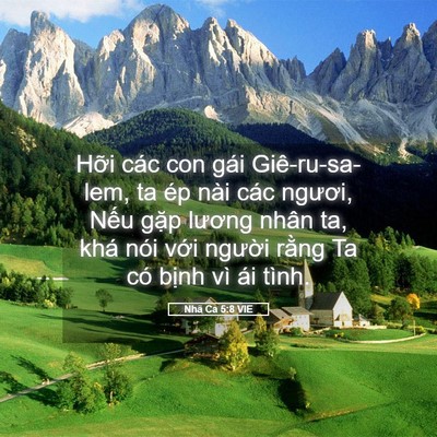 Picture 05 - Nhã Ca 5:8 VIE - Hỡi các con gái Giê-ru-sa-lem, ta ép nài - Bible Verse Picture