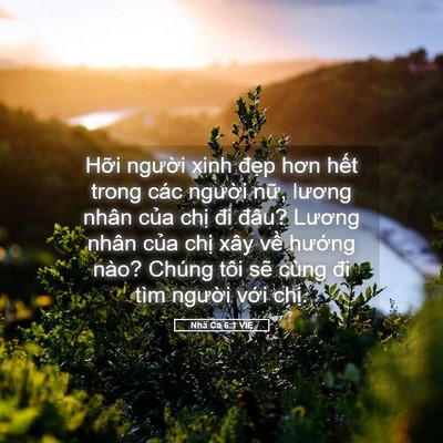 Picture 05 - Nhã Ca 6:1 VIE - Hỡi người xinh đẹp hơn hết trong các - Bible Verse Picture