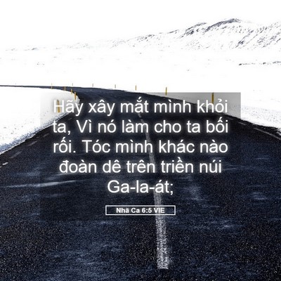 Picture 05 - Nhã Ca 6:5 VIE - Hãy xây mắt mình khỏi ta, Vì nó làm cho - Bible Verse Picture