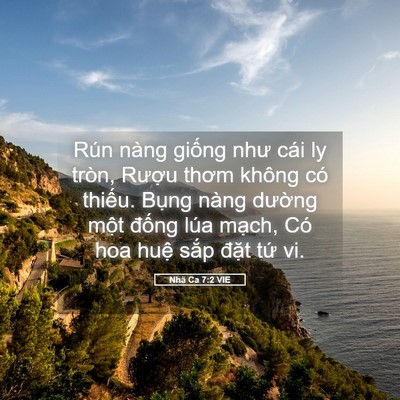 Picture 05 - Nhã Ca 7:2 VIE - Rún nàng giống như cái ly tròn, Rượu - Bible Verse Picture