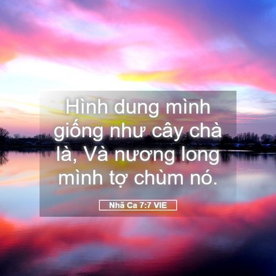 Picture 05 - Nhã Ca 7:7 VIE - Hình dung mình giống như cây chà là, Và - Bible Verse Picture