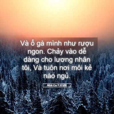 Picture 05 - Nhã Ca 7:9 VIE - Và ổ gà mình như rượu ngon. Chảy vào - Bible Verse Picture
