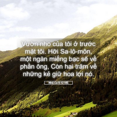 Picture 05 - Nhã Ca 8:12 VIE - Vườn nho của tôi ở trước mặt tôi. - Bible Verse Picture