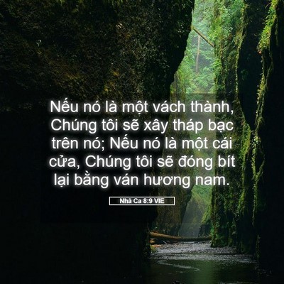 Picture 05 - Nhã Ca 8:9 VIE - Nếu nó là một vách thành, Chúng tôi - Bible Verse Picture