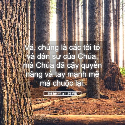 Picture 05 - Nê-hê-mi-a 1:10 VIE - Vả, chúng là các tôi tớ và dân sự - Bible Verse Picture
