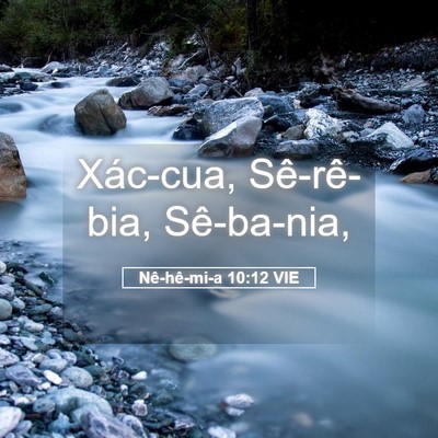 Picture 05 - Nê-hê-mi-a 10:12 VIE - Xác-cua, Sê-rê-bia, - Bible Verse Picture