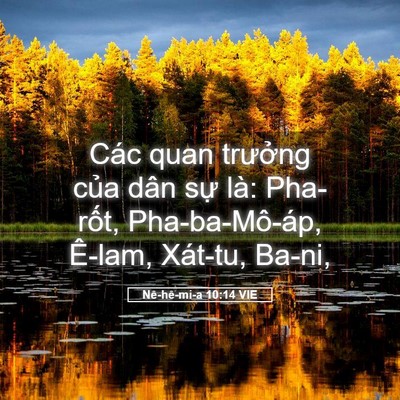 Picture 05 - Nê-hê-mi-a 10:14 VIE - Các quan trưởng của dân sự là: - Bible Verse Picture