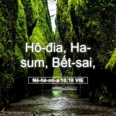 Picture 05 - Nê-hê-mi-a 10:18 VIE - Hô-đia, Ha-sum, - Bible Verse Picture