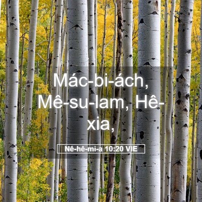 Picture 05 - Nê-hê-mi-a 10:20 VIE - Mác-bi-ách, Mê-su-lam, - Bible Verse Picture