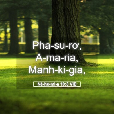 Picture 05 - Nê-hê-mi-a 10:3 VIE - Pha-su-rơ, A-ma-ria, - Bible Verse Picture