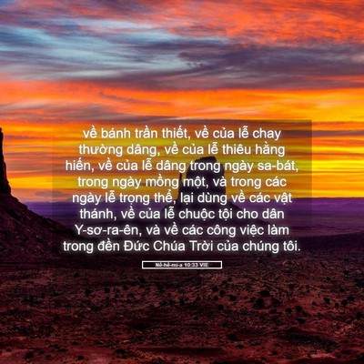 Picture 05 - Nê-hê-mi-a 10:33 VIE - về bánh trần thiết, về của lễ chay - Bible Verse Picture
