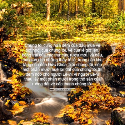 Picture 05 - Nê-hê-mi-a 10:37 VIE - Chúng tôi cũng hứa đem của đầu mùa - Bible Verse Picture