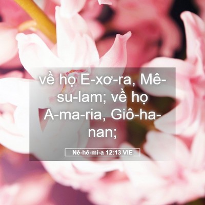 Picture 05 - Nê-hê-mi-a 12:13 VIE - về họ E-xơ-ra, Mê-su-lam; về họ - Bible Verse Picture