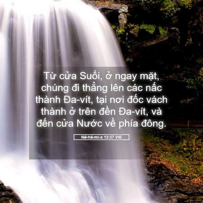 Picture 05 - Nê-hê-mi-a 12:37 VIE - Từ cửa Suối, ở ngay mặt, chúng đi - Bible Verse Picture