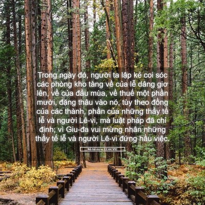 Picture 05 - Nê-hê-mi-a 12:44 VIE - Trong ngày đó, người ta lập kẻ coi sóc - Bible Verse Picture