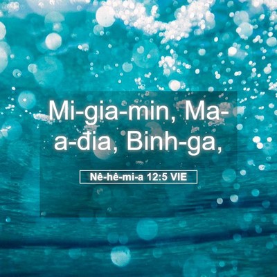 Picture 05 - Nê-hê-mi-a 12:5 VIE - Mi-gia-min, Ma-a-đia, - Bible Verse Picture