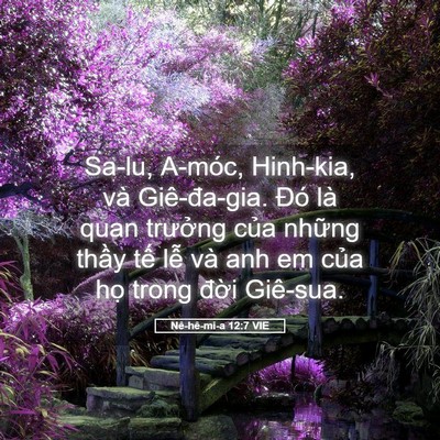 Picture 05 - Nê-hê-mi-a 12:7 VIE - Sa-lu, A-móc, Hinh-kia, và Giê-đa-gia. Đó - Bible Verse Picture