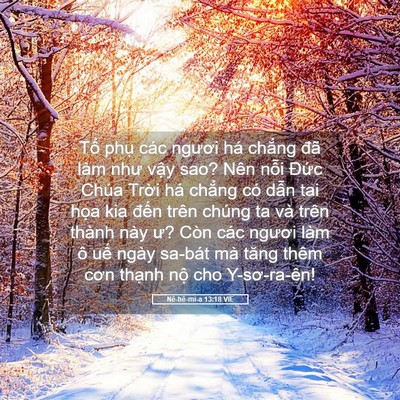 Picture 05 - Nê-hê-mi-a 13:18 VIE - Tổ phụ các ngươi há chẳng đã làm - Bible Verse Picture