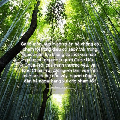Picture 05 - Nê-hê-mi-a 13:26 VIE - Sa-lô-môn, vua Y-sơ-ra-ên há chẳng có - Bible Verse Picture