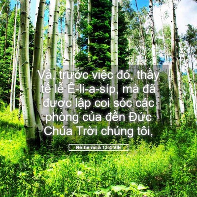 Picture 05 - Nê-hê-mi-a 13:4 VIE - Vả, trước việc đó, thầy tế lễ - Bible Verse Picture