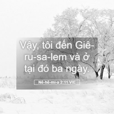 Picture 05 - Nê-hê-mi-a 2:11 VIE - Vậy, tôi đến Giê-ru-sa-lem và ở tại - Bible Verse Picture