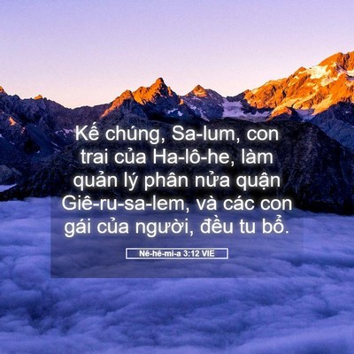 Picture 05 - Nê-hê-mi-a 3:12 VIE - Kế chúng, Sa-lum, con trai của Ha-lô-he, - Bible Verse Picture
