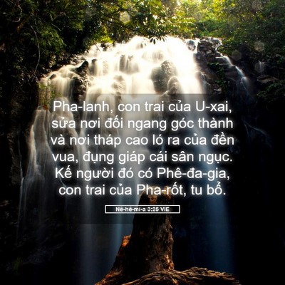 Picture 05 - Nê-hê-mi-a 3:25 VIE - Pha-lanh, con trai của U-xai, sửa nơi đối - Bible Verse Picture