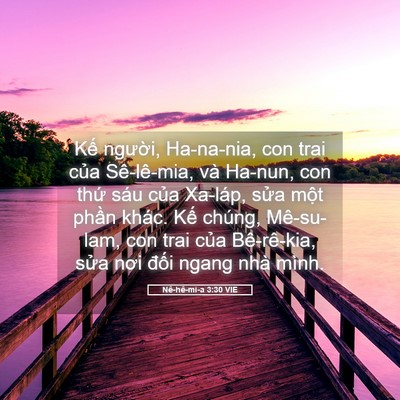 Picture 05 - Nê-hê-mi-a 3:30 VIE - Kế người, Ha-na-nia, con trai của - Bible Verse Picture