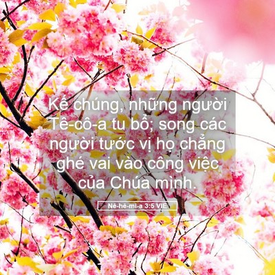 Picture 05 - Nê-hê-mi-a 3:5 VIE - Kế chúng, những người Tê-cô-a tu bổ; - Bible Verse Picture