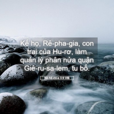 Picture 05 - Nê-hê-mi-a 3:9 VIE - Kế họ, Rê-pha-gia, con trai của Hu-rơ, - Bible Verse Picture