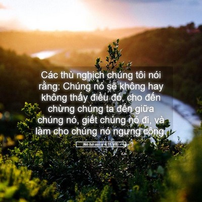 Picture 05 - Nê-hê-mi-a 4:11 VIE - Các thù nghịch chúng tôi nói rằng: - Bible Verse Picture