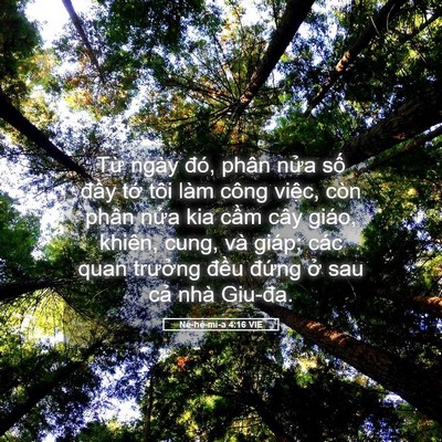 Picture 05 - Nê-hê-mi-a 4:16 VIE - Từ ngày đó, phân nửa số đầy tớ - Bible Verse Picture