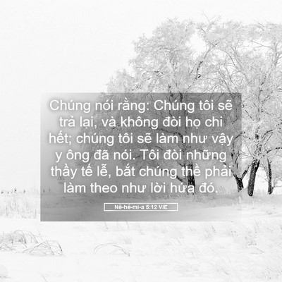Picture 05 - Nê-hê-mi-a 5:12 VIE - Chúng nói rằng: Chúng tôi sẽ trả lại, - Bible Verse Picture